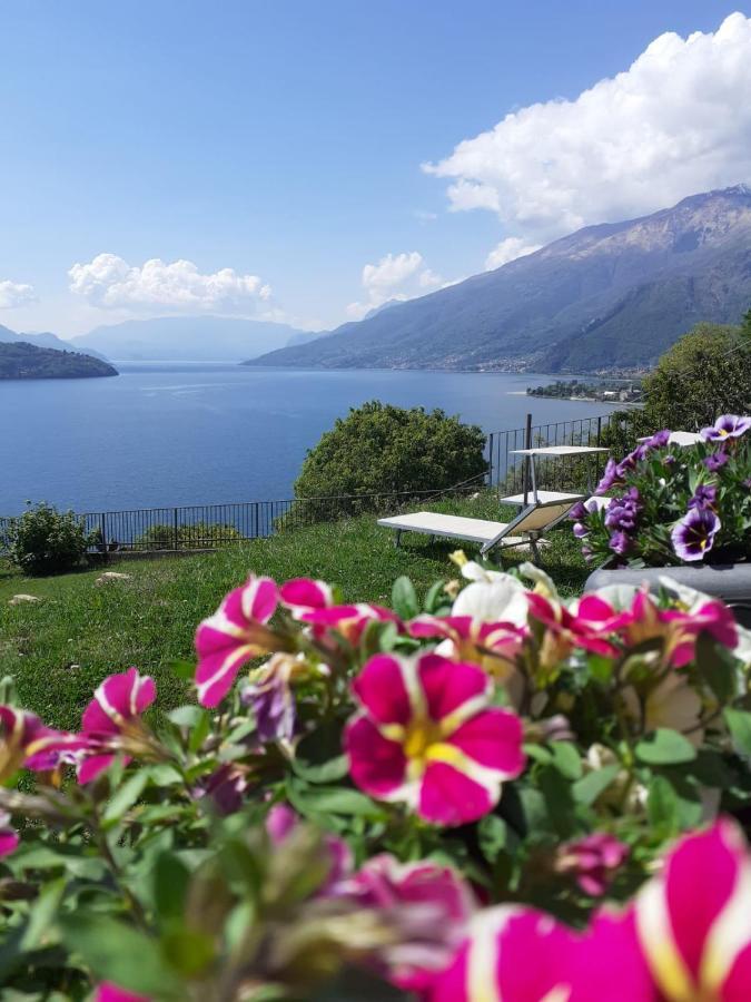 Ca' Del Barba Daire Domaso Dış mekan fotoğraf