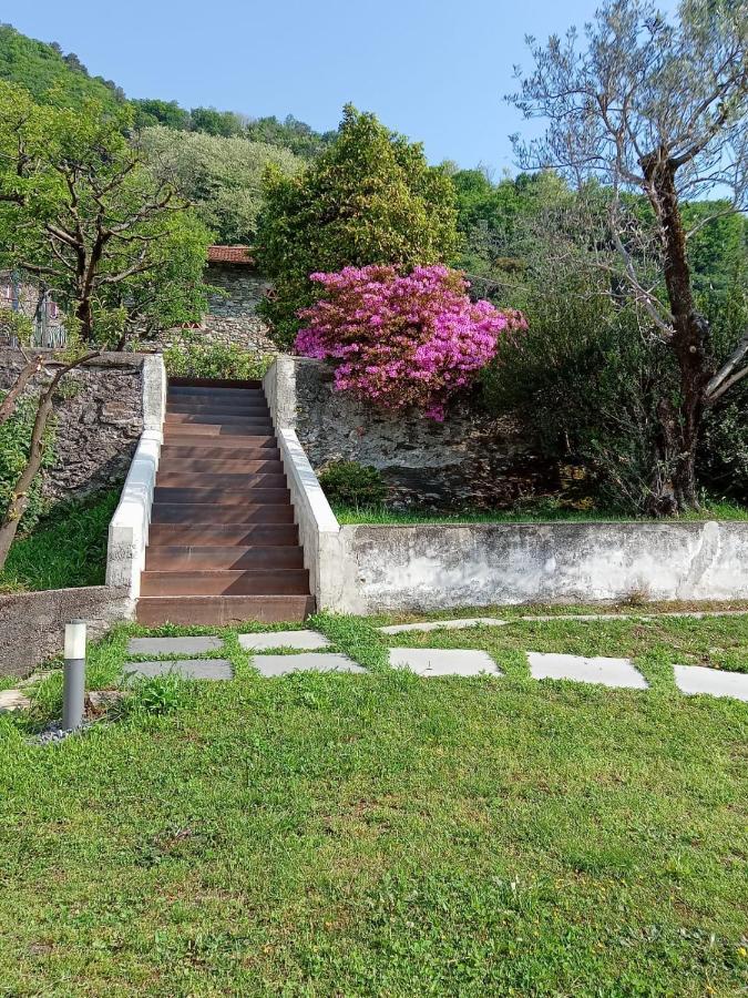 Ca' Del Barba Daire Domaso Dış mekan fotoğraf